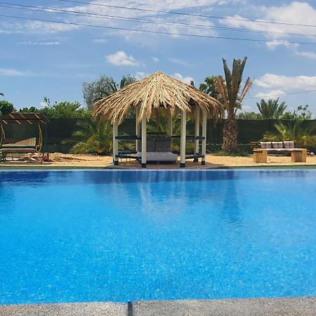 Casadelfenix Hotel Кревиленте Екстериор снимка