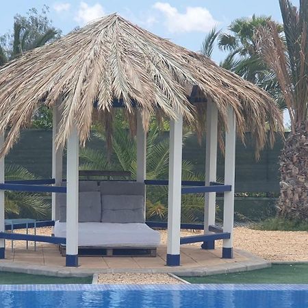 Casadelfenix Hotel Кревиленте Екстериор снимка